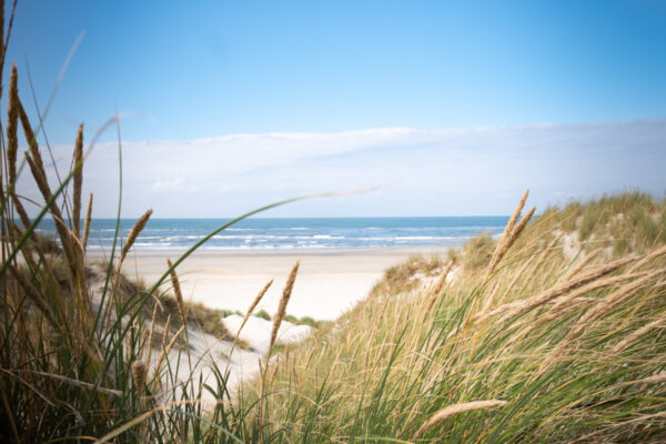de duinen van Ameland-1