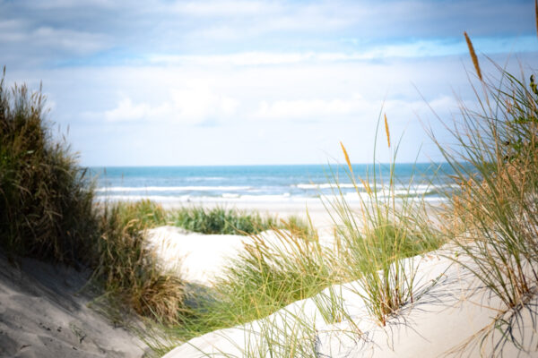de duinen van Ameland-2