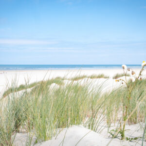 de duinen van Ameland