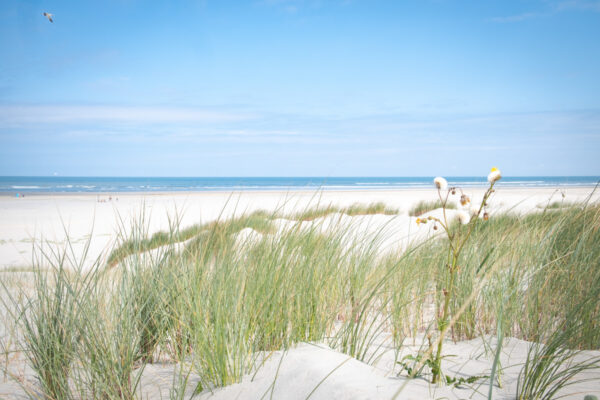 de duinen van Ameland