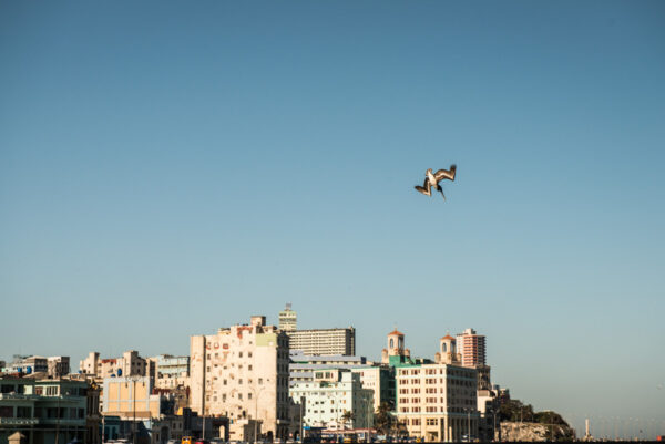 skyline Havana