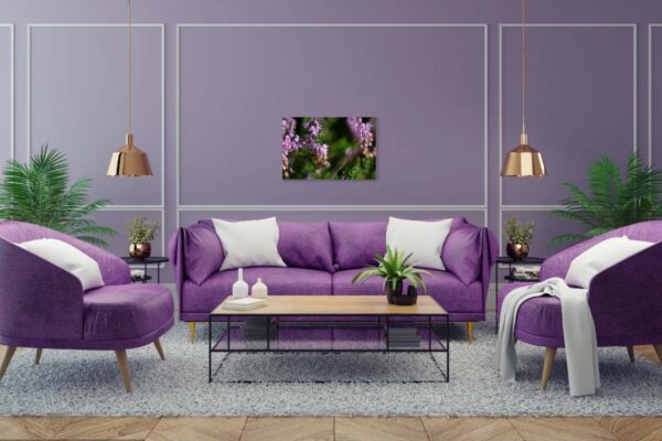 Moderne woonkamer met paarse bank en decoratieve planten.