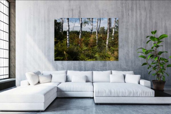 Moderne woonkamer met witte bank en foto van berken afgedrukt op dibond in formaat 100 x 150 hangend aan de wand.