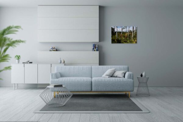 Foto van berken afgedrukt op dibond in formaat 40 x 60 hangend aan de wand in moderne woonkamer interieur met grijze bank.