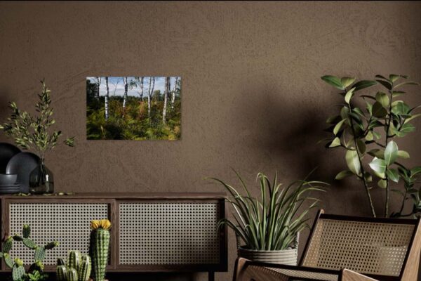 Gezellige woonkamer met planten en foto van berken afgedrukt op dibond in formaat 60 x 90 hangend aan de wand.