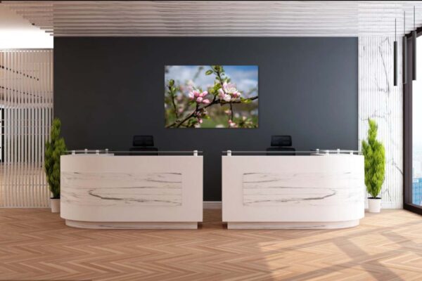 Moderne hotelreceptie met kunst en planten.