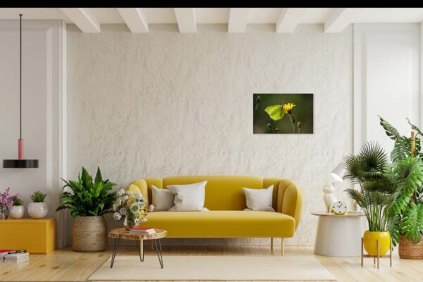 Moderne woonkamer met geel bankstel en groene planten.