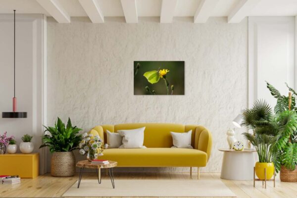 Gezellige woonkamer met gele bank en groene planten.