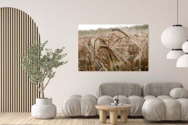 Modern interieur met foto van tarweveld aan muur.