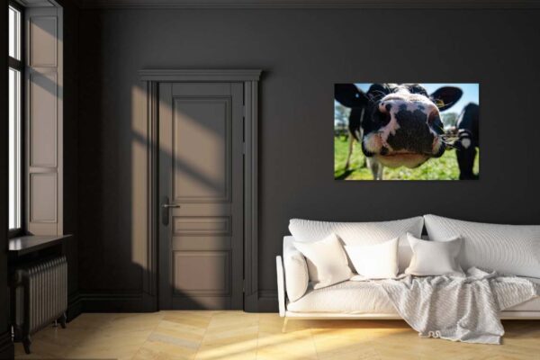 Moderne kamer met koeienfoto aan de muur.