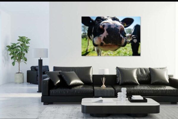 Minimalistische woonkamer met koeienfoto aan de muur.