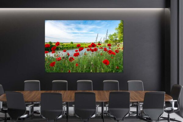 veld met klaprozen - Afbeelding 2