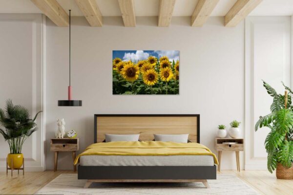 zonnebloemen-2 - Afbeelding 4