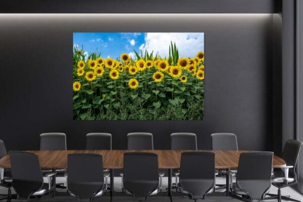zonnebloemen - Afbeelding 2