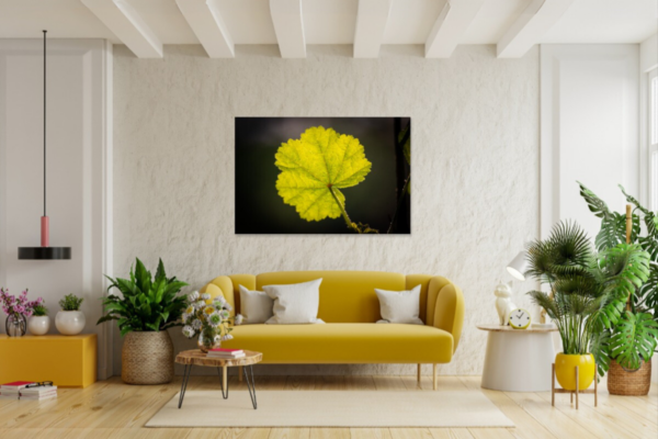 Foto op dibond van een blad in tegenlicht - Afbeelding 3