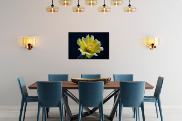 Unieke cactusbloem fotokunst op dibond - Afbeelding 4