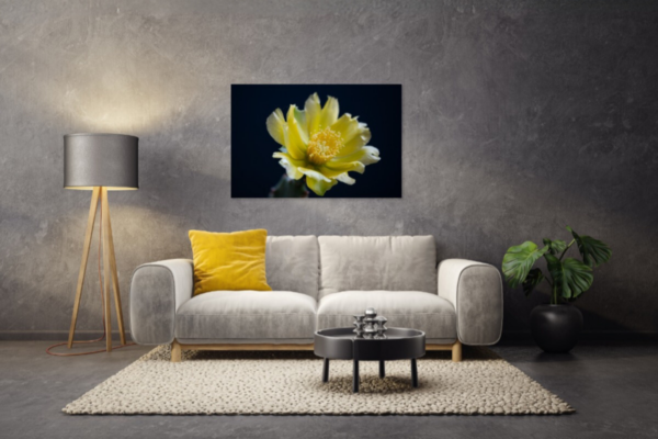Unieke cactusbloem fotokunst op dibond - Afbeelding 3