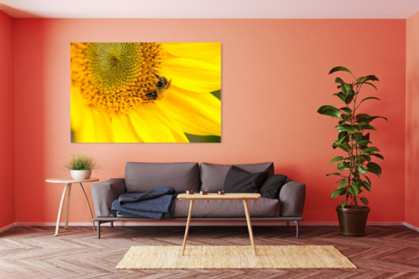 Closeup zonnebloem foto op dibond - Afbeelding 2