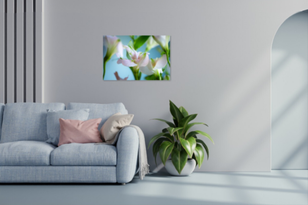 Kleurcompositie lelie fotoprint op dibond - Afbeelding 4