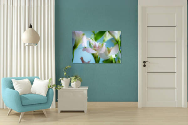 Kleurcompositie lelie fotoprint op dibond - Afbeelding 3
