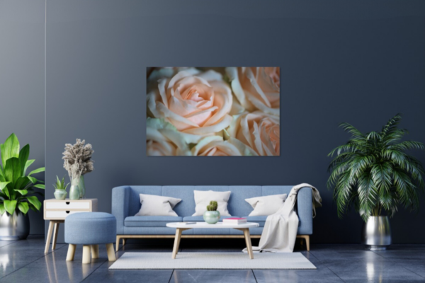 Foto op dibond een close-up van zachtroze rozen - Afbeelding 2